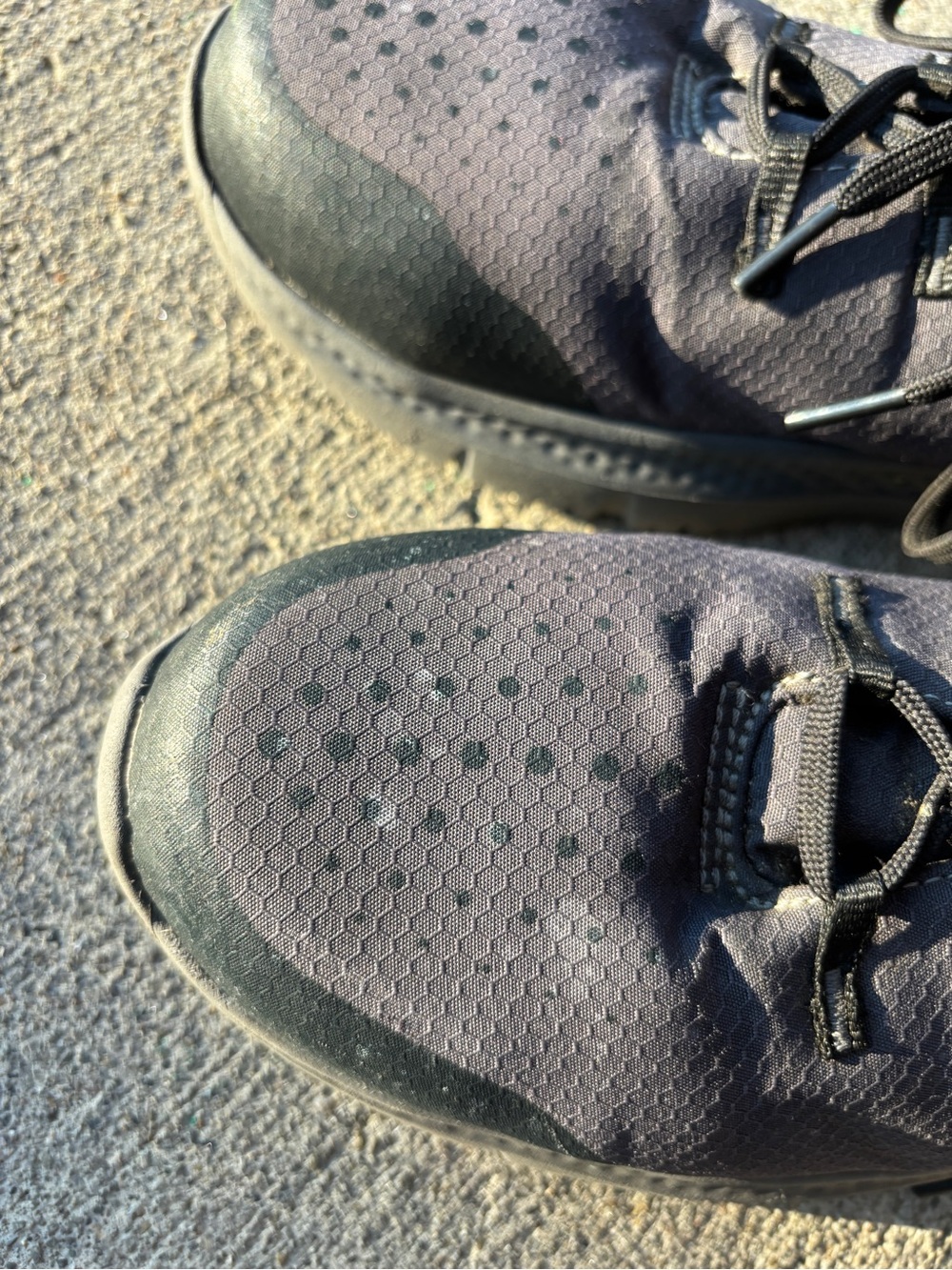 Timberlands - Picture 7 of 9